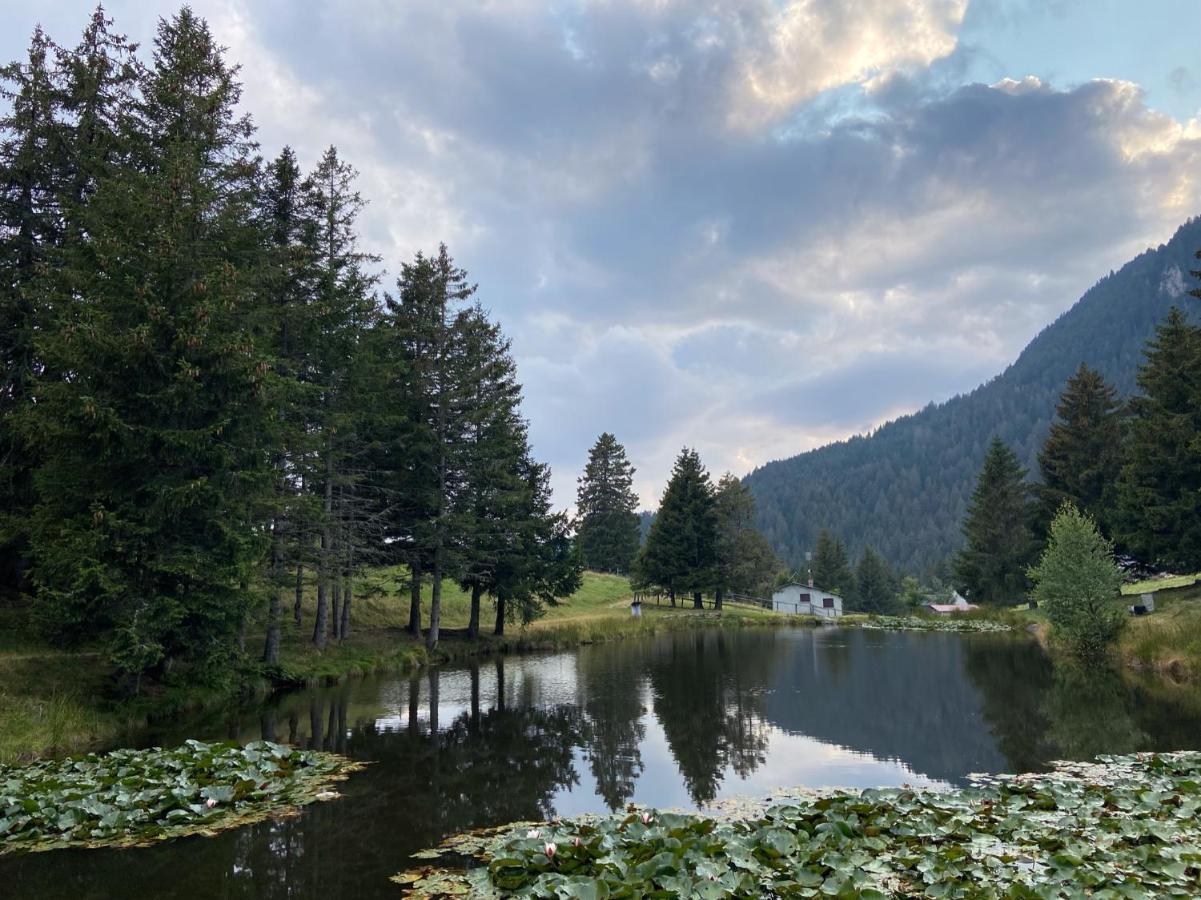 Do-Minus Boutique Home & Private Spa Ca Pedrot Mountain Cottage Monte Carasso Eksteriør bilde