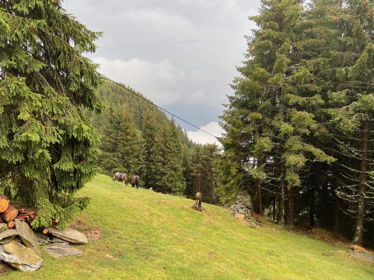 Do-Minus Boutique Home & Private Spa Ca Pedrot Mountain Cottage Monte Carasso Eksteriør bilde