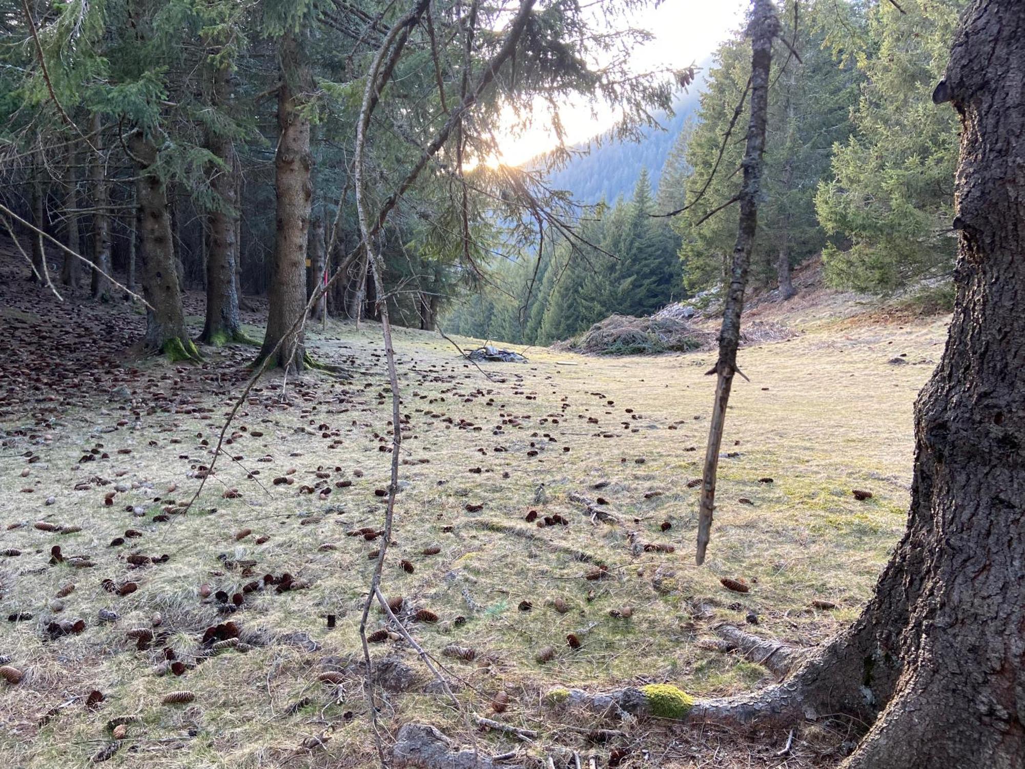 Do-Minus Boutique Home & Private Spa Ca Pedrot Mountain Cottage Monte Carasso Eksteriør bilde